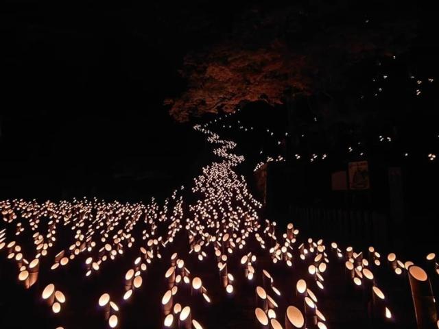 たけた竹灯籠「竹楽」