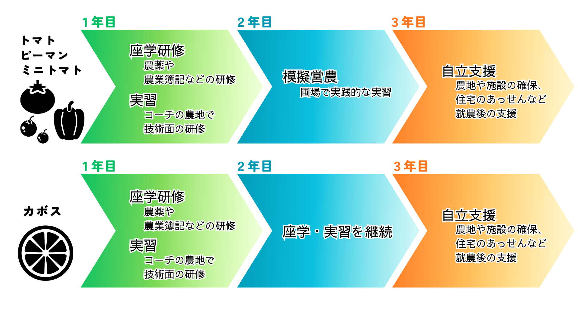 FS研修の流れ