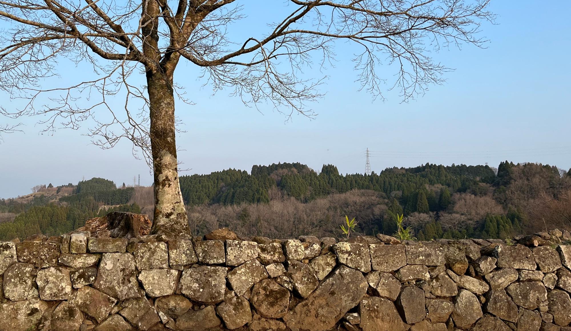 isigaki