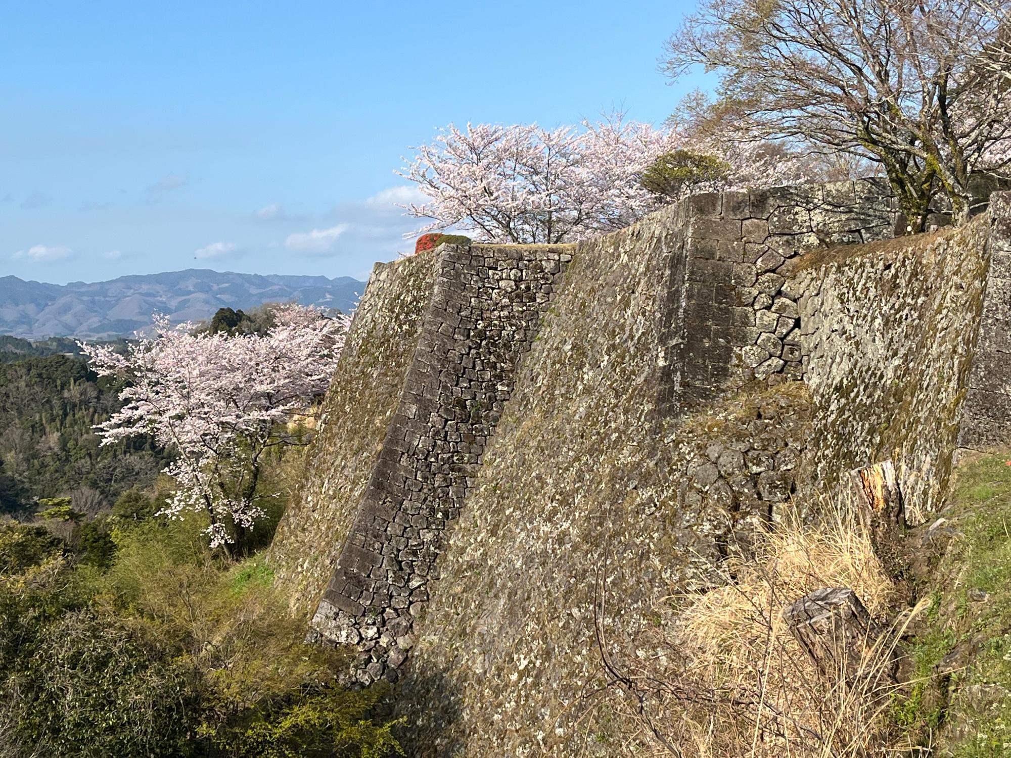岡城