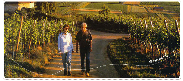 ブドウ畑の中の小道を散歩する男性と女性の写真