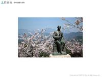 満開の桜の花と岡城の瀧廉太郎像の写真