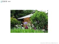 緑の木々に囲まれた願成院と菖蒲の花の写真