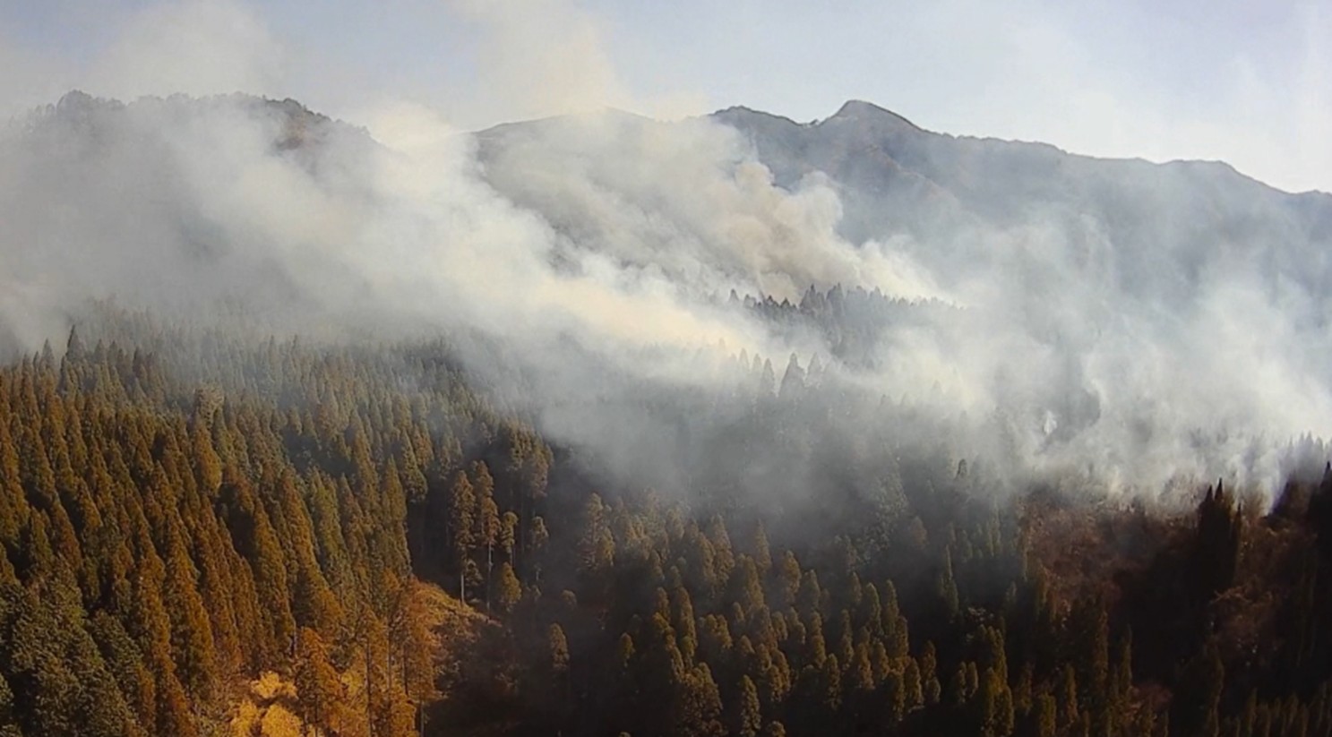 九重野林野火災1