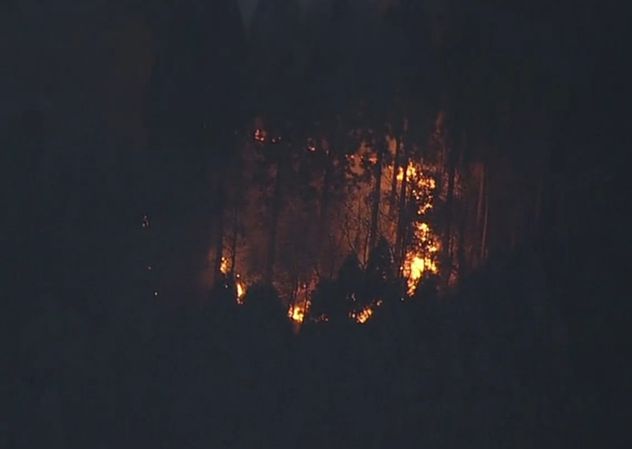 九重野林野火災2