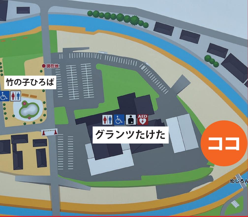 たまリバたけた場所