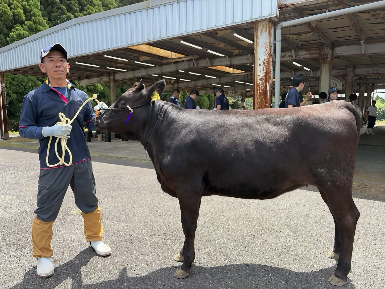 第2区首席