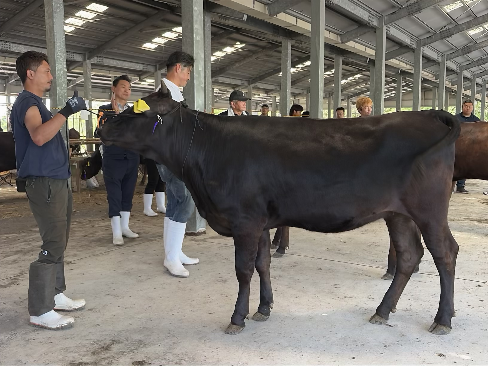 第4区首席