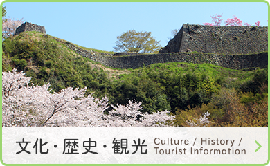 文化・歴史・観光　Culture / History / Tourist Information